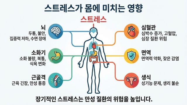 스트레스가 당신의 몸을 파괴하는 과정: 보이지 않는 살인자의 실체