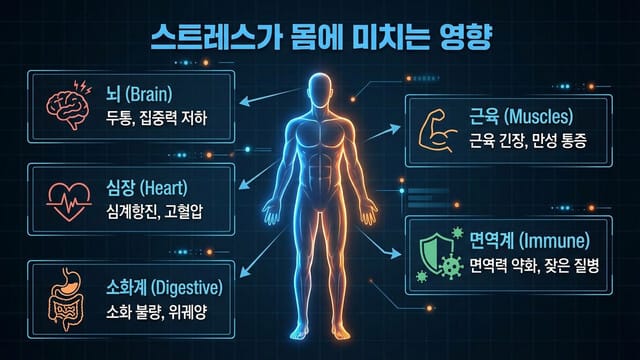 스트레스가 당신의 몸을 파괴하는 과정: 보이지 않는 살인자의 실체 - 이미지 2