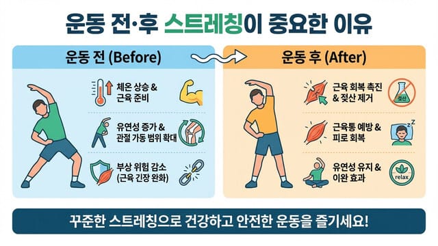 운동 성과를 200% 끌어올리는 비밀: 운동 전·후 스트레칭의 과학적 메커니즘