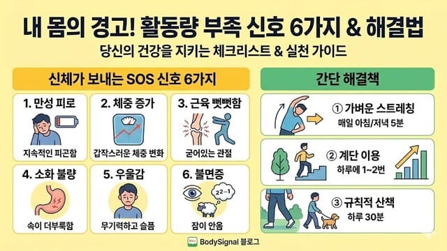 가벼운 스트레칭과 산책으로 몸에 활력을 불어넣는 긍정적인 이미지