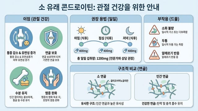 소유래 콘드로이친 효능·부작용·복용법 총정리