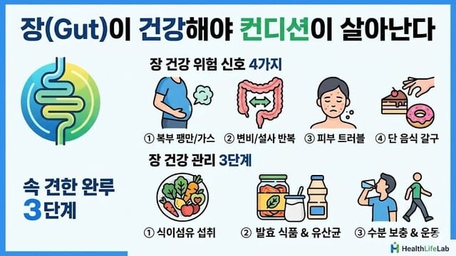 장내 미생물의 균형 잡힌 생태계를 시각화한 그래픽 이미지