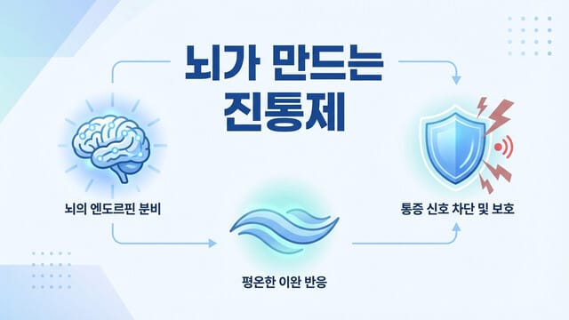 뇌가 만드는 진통제: 통증의 고통을 줄이는 ‘통증 조절 심상법’의 과학