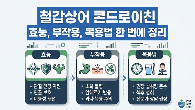 철갑상어 콘드로이친 효능, 부작용, 복용법 한 번에 정리