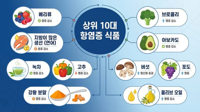 만성 염증을 줄이는 항염증 식품 10가지 추천