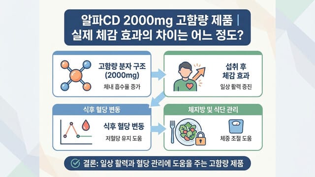 알파CD 2000mg 고함량 제품|실제 체감 효과의 차이는 어느 정도?
