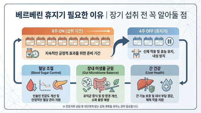 베르베린 휴지기 필요한 이유｜장기 섭취 전 꼭 알아둘 점