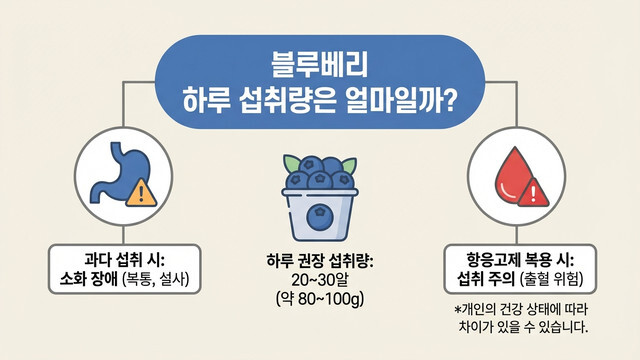 블루베리 하루 섭취량은 얼마일까? 많이 먹으면 생기는 부작용 정리