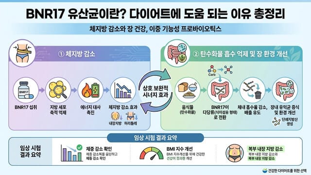 BNR17 유산균이란? 다이어트에 도움 되는 이유 총정리