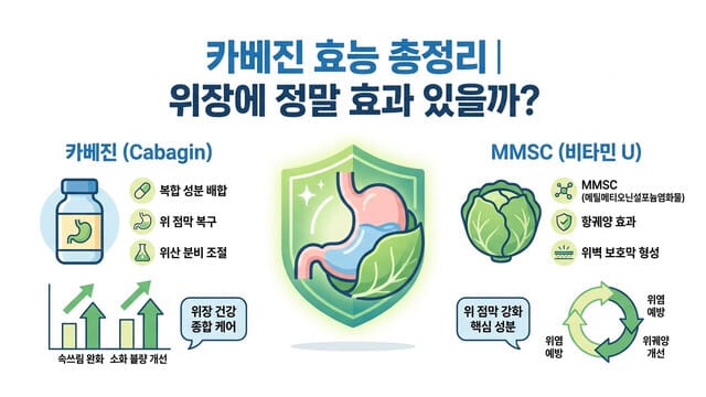 카베진 효능 총정리｜위장에 정말 효과 있을까?