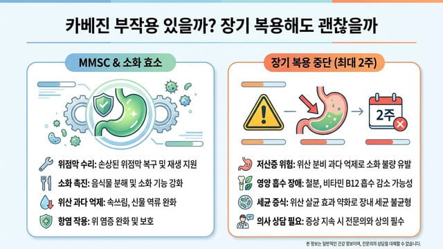 카베진 부작용 있을까? 장기 복용해도 괜찮을까