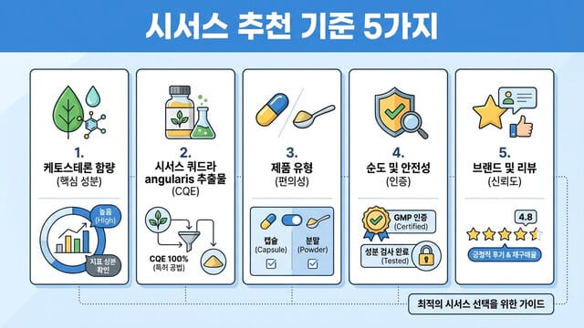시서스 추천 기준 5가지｜함량·추출물·제품 선택 방법