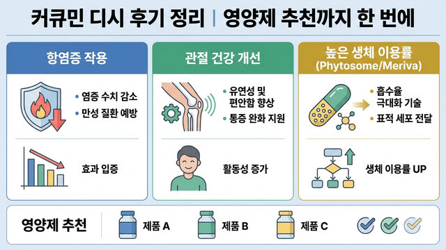 커큐민 디시 후기 정리｜영양제 추천까지 한 번에
