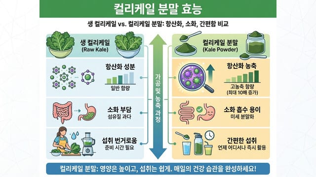 컬리케일 분말 효능|생으로 먹는 것보다 좋은 이유