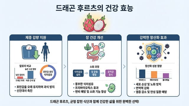 용과 효능 총정리｜다이어트·장 건강·항산화에 좋은 이유