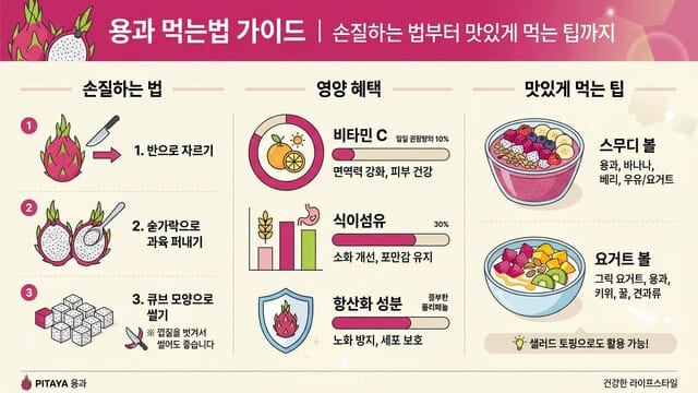 용과 먹는법 가이드｜손질하는 법부터 맛있게 먹는 팁까지