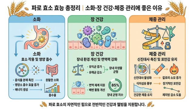 파로 효소 효능 총정리｜소화·장 건강·체중 관리에 좋은 이유