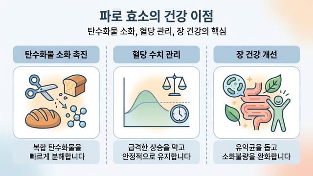 파로 효소 디시 후기 모음｜직접 먹어본 사람들의 변화 정리