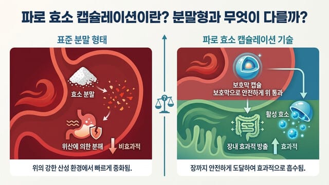 파로 효소 캡슐레이션이란? 분말형과 무엇이 다를까?