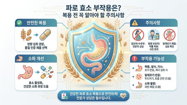 파로 효소 부작용은? 복용 전 꼭 알아야 할 주의사항