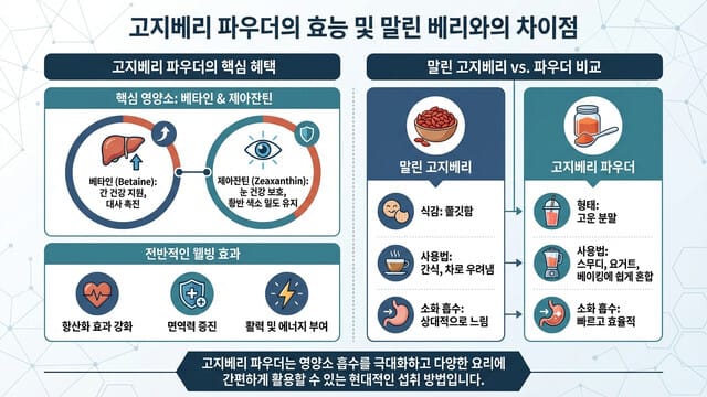 구기자 가루 효능과 먹는법｜분말 vs 건구기자 차이 정리