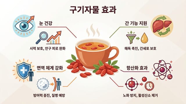 구기자물 효과 있을까?｜하루 섭취량과 끓이는 방법 안내