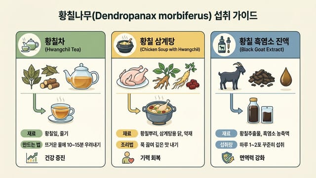황칠나무 먹는 법｜차·닭백숙·흑염소 활용법 정리