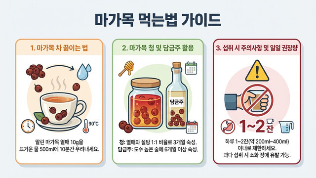 마가목 먹는법 가이드｜차 끓이는 법부터 하루 섭취량까지