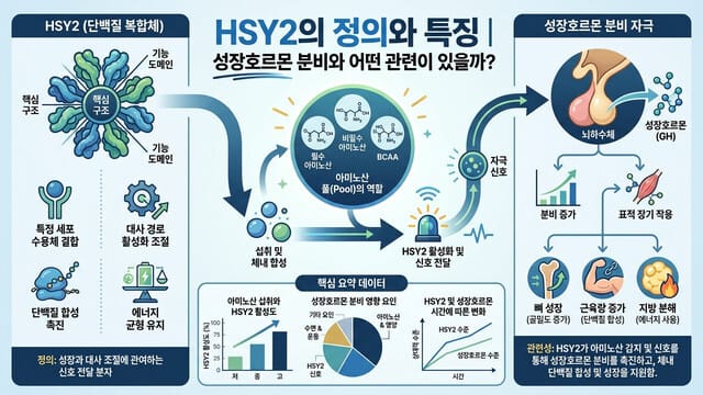 HSY2의 정의와 특징｜성장호르몬 분비와 어떤 관련이 있을까?