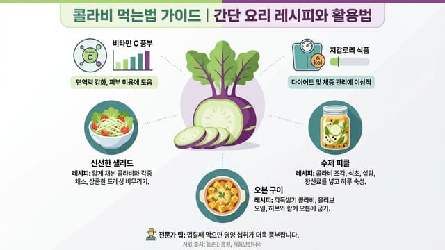 콜라비 먹는법 가이드｜간단 요리 레시피와 활용법