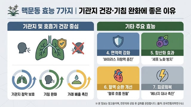 맥문동 효능 7가지｜기관지 건강·기침 완화에 좋은 이유