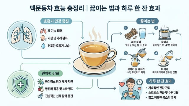 맥문동차 효능 총정리｜끓이는 법과 하루 한 잔 효과