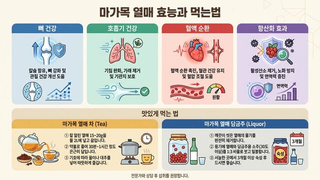 마가목 열매 효능과 먹는법｜차·담금주로 활용 가능할까?