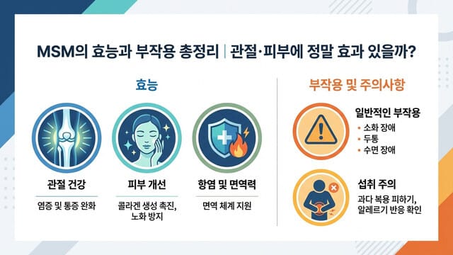 MSM의 효능과 부작용 총정리｜관절·피부에 정말 효과 있을까?