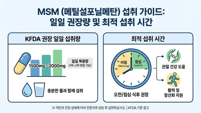 MSM 하루 권장량은? 복용법·섭취 시간까지 한 번에 정리