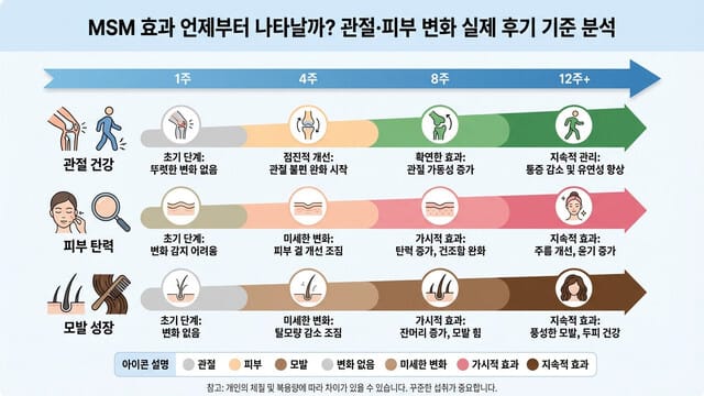 MSM 효과 언제부터 나타날까? 관절·피부 변화 실제 후기 기준 분석”