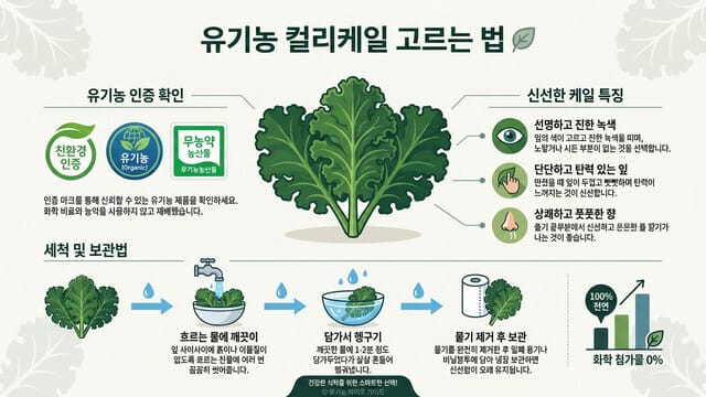 유기농 컬리케일 고르는 법｜잔류농약 없이 안전하게 먹는 방법