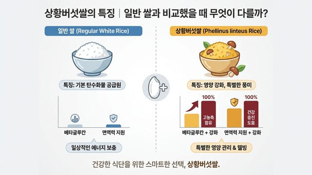 상황버섯쌀의 특징｜일반 쌀과 비교했을 때 무엇이 다를까?