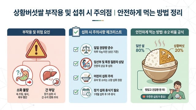 상황버섯쌀 부작용 및 섭취 시 주의점｜안전하게 먹는 방법 정리