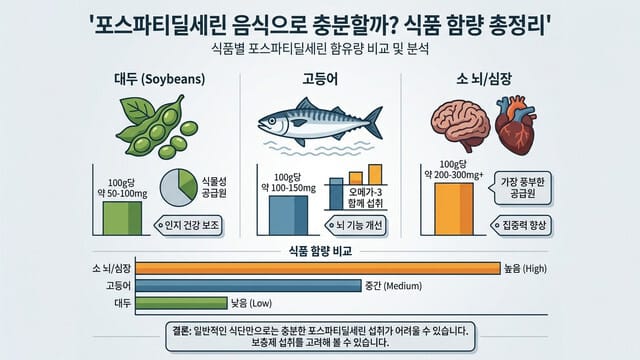 포스파티딜세린 음식으로 충분할까? 식품 함량 총정리