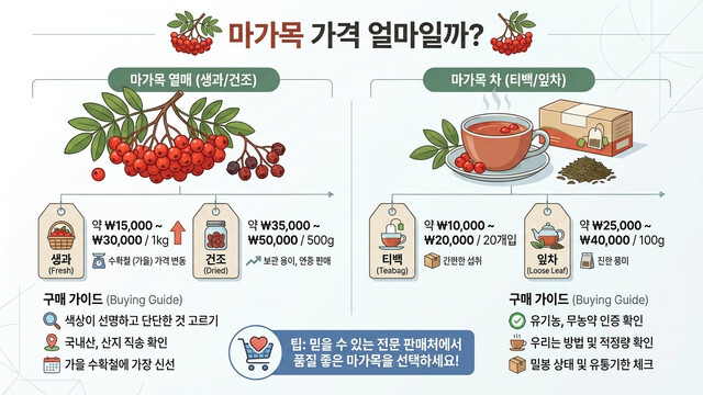 마가목 가격 얼마일까?｜열매·차 구매처와 시세 정리