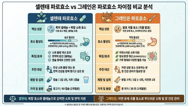 셀렌태 파로효소 vs 그레인온 파로효소 차이점 비교 분석