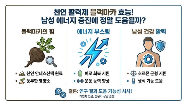 천연 활력제 블랙마카 효능! 남성 에너지 증진에 정말 도움될까?