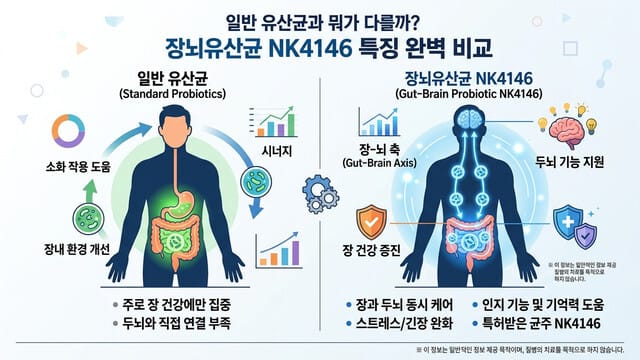 일반 유산균과 뭐가 다를까? 장뇌유산균 NK4146 특징 완벽 비교
