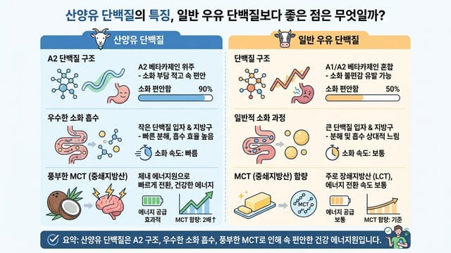 산양유 단백질의 특징, 일반 우유 단백질보다 좋은 점은 무엇일까?