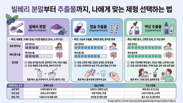 빌베리 분말부터 추출물까지, 나에게 맞는 제형 선택하는 법