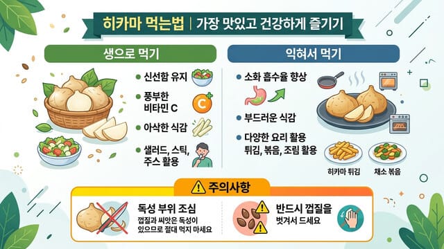히카마 먹는법|생으로? 익혀서? 가장 맛있고 건강하게 먹는 방법
