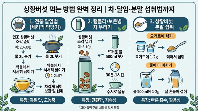상황버섯 먹는 방법 완벽 정리|차·달임·분말 섭취법까지