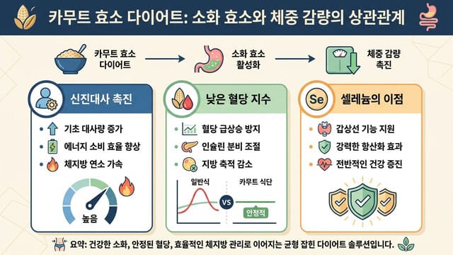 카뮤트효소 다이어트｜체중 감량과 소화 효소의 상관관계