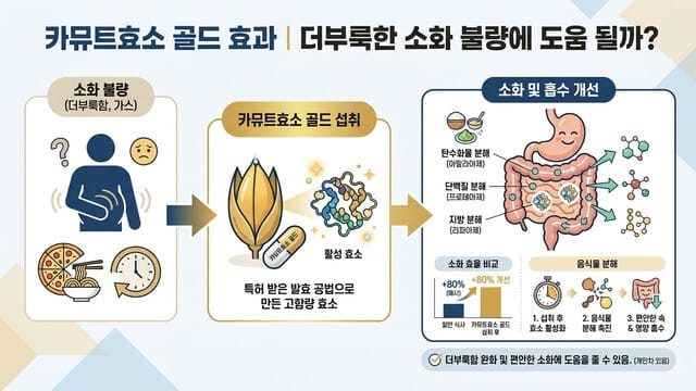 카뮤트효소 골드 효과｜더부룩한 소화 불량에 도움 될까?